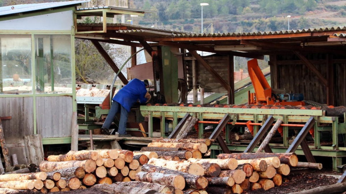 La Serradora Fontova, situada a Cabra del Camp, i un operari treballant-hi a l'exterior, entre troncs apilats.
