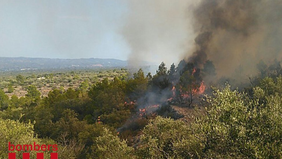 Imagen del fuego, ubicado montaña arriba cerca del kilómetro 28 de la carretera C-12.