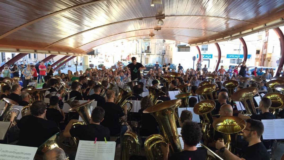 Músics vinguts d'arreu de Catalunya van interpretar junts un concert.