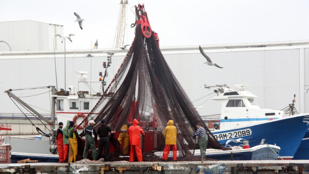 Imagen de archivo de unos marineros moviendo las redes para recoger el pescado azul capturado.