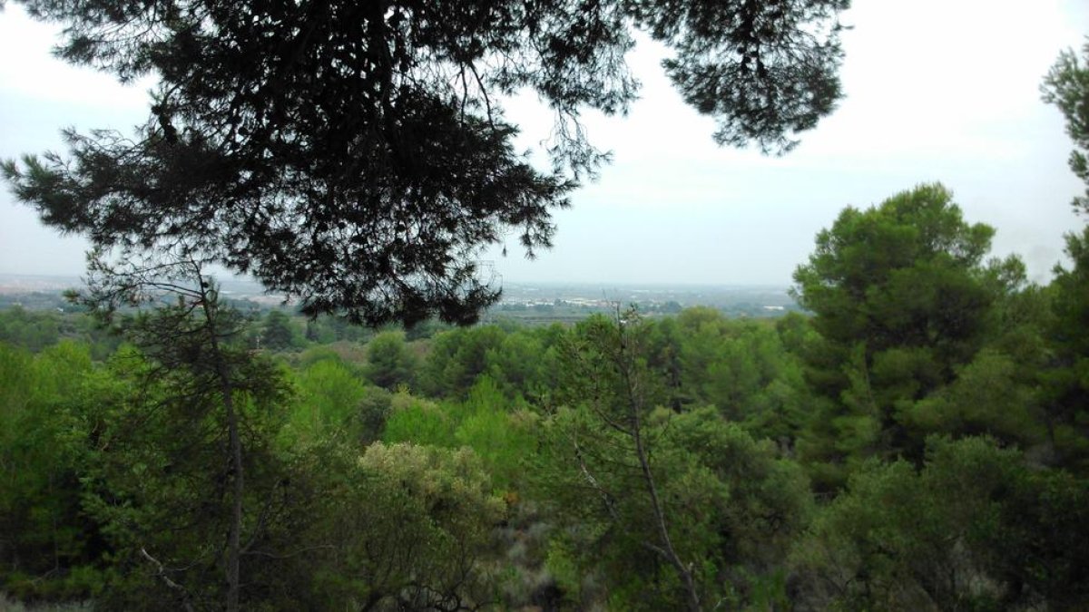 La naturaleza provoca ciertos cambios fisiológicos y mentales que son positivos para nuestra salud.