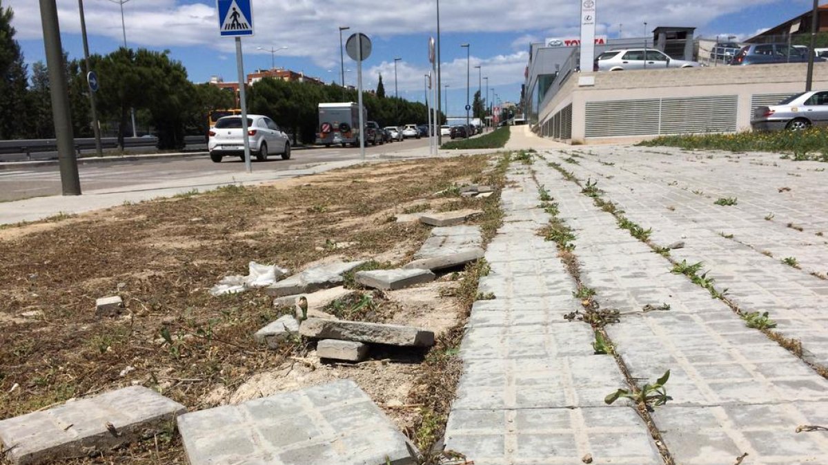 Els veïns de Parc Riu Clar denuncien la deixadesa que pateix el barri