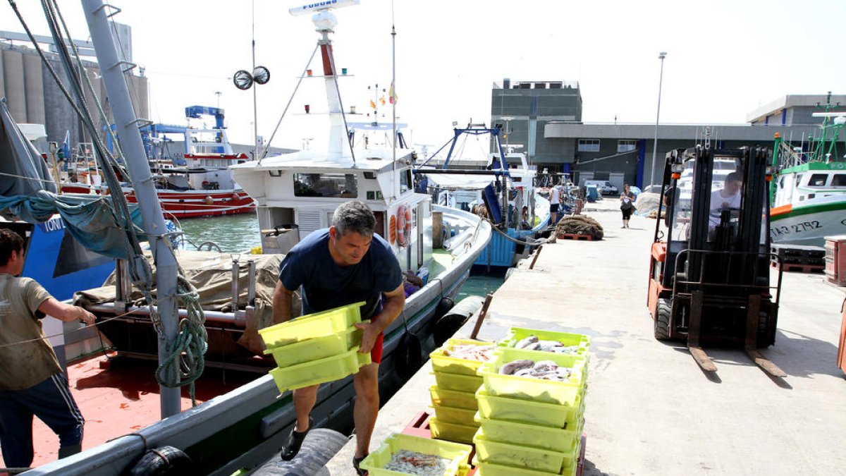 La comercialització del peix és un dels punts destacats de la candidatura d'Ortiz.