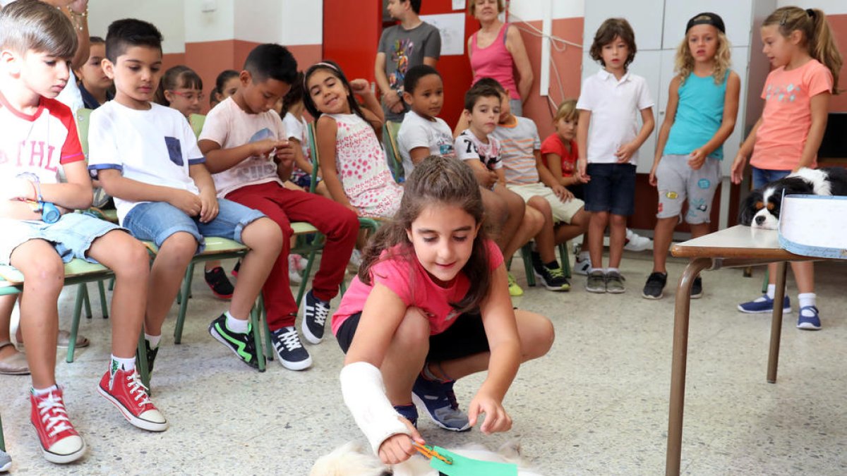 Els gossos ajuden als nens en el primer dia de classe.