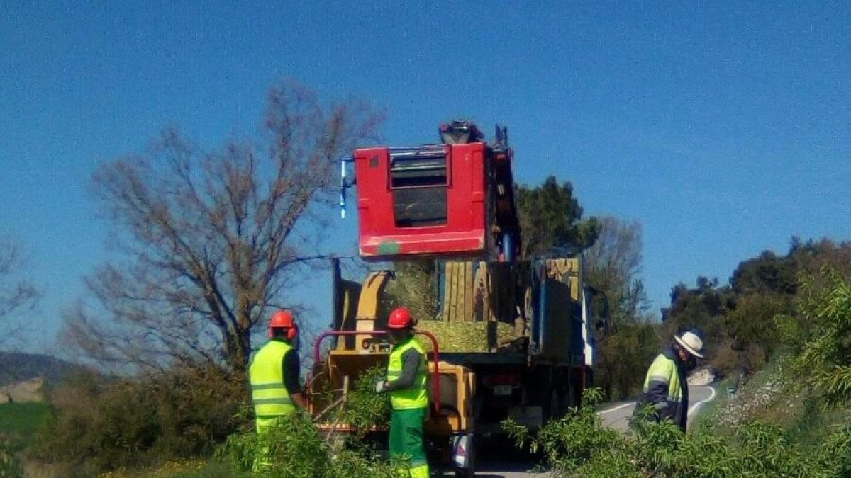 El año pasado también se podaron los arbolados de los márgenes de un total de 114 kilómetros de otras 16 carreteras de la demarcación.