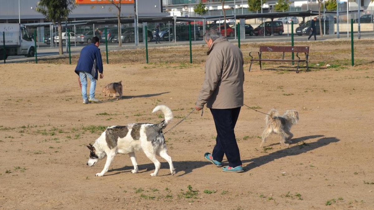Propietarios de perros paseando las mascotas.