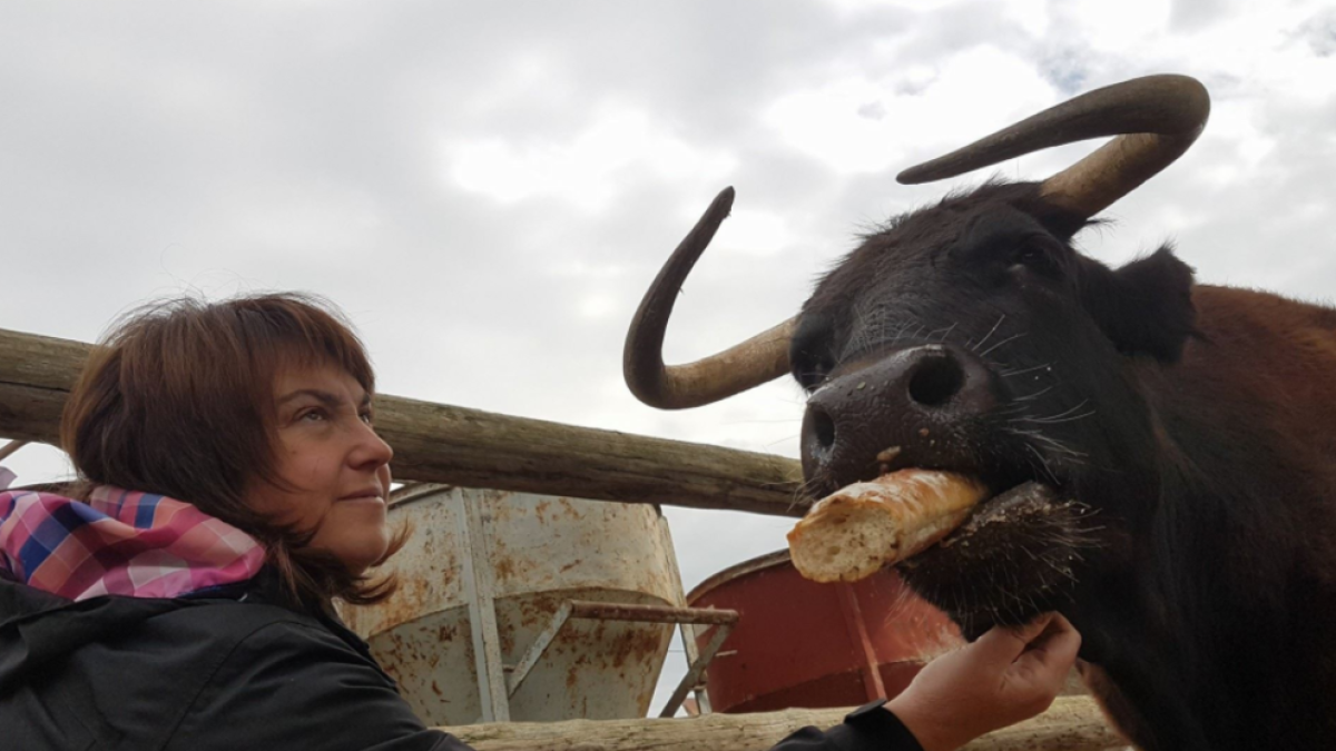 Moltes persones s'han mobilitzat per intentar salvar la vaca.