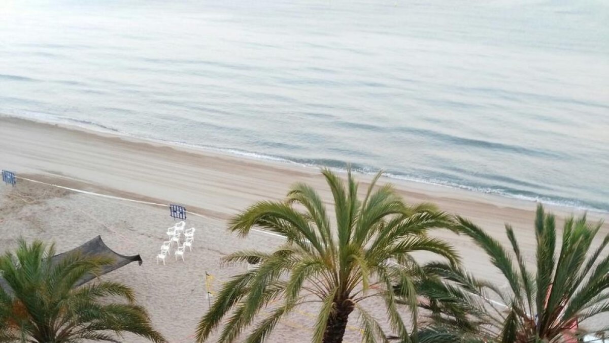 ERC i l'ANC van penjar estelades al passeig marítim.