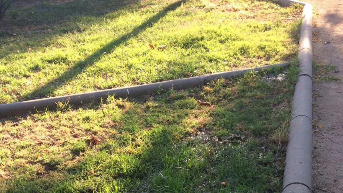 Acumulació d'aigua de rec en una de les arquetes ubicades al Prac del Francolí.