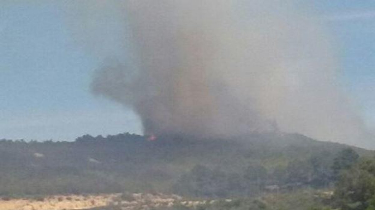 El foc ha cremat zona agrícola, pi blanc i matoll.