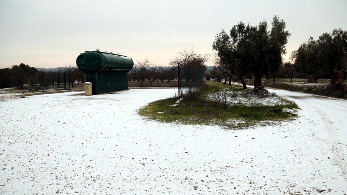 Imatge d'arxiu d'un camp amb neu als Ports del passat 19 de gener, en la que va ser la primera nevada del 2017 a la demarcació de Tarragona.