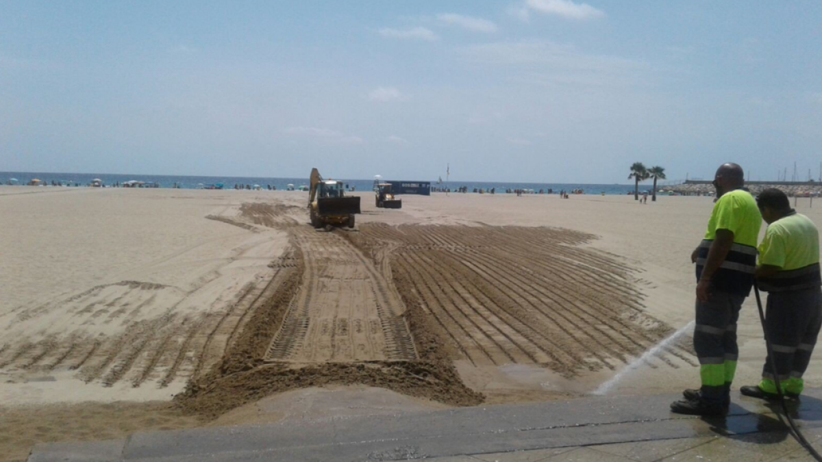 Los operarios trabajan en las tareas de limpieza de la zona afectada.