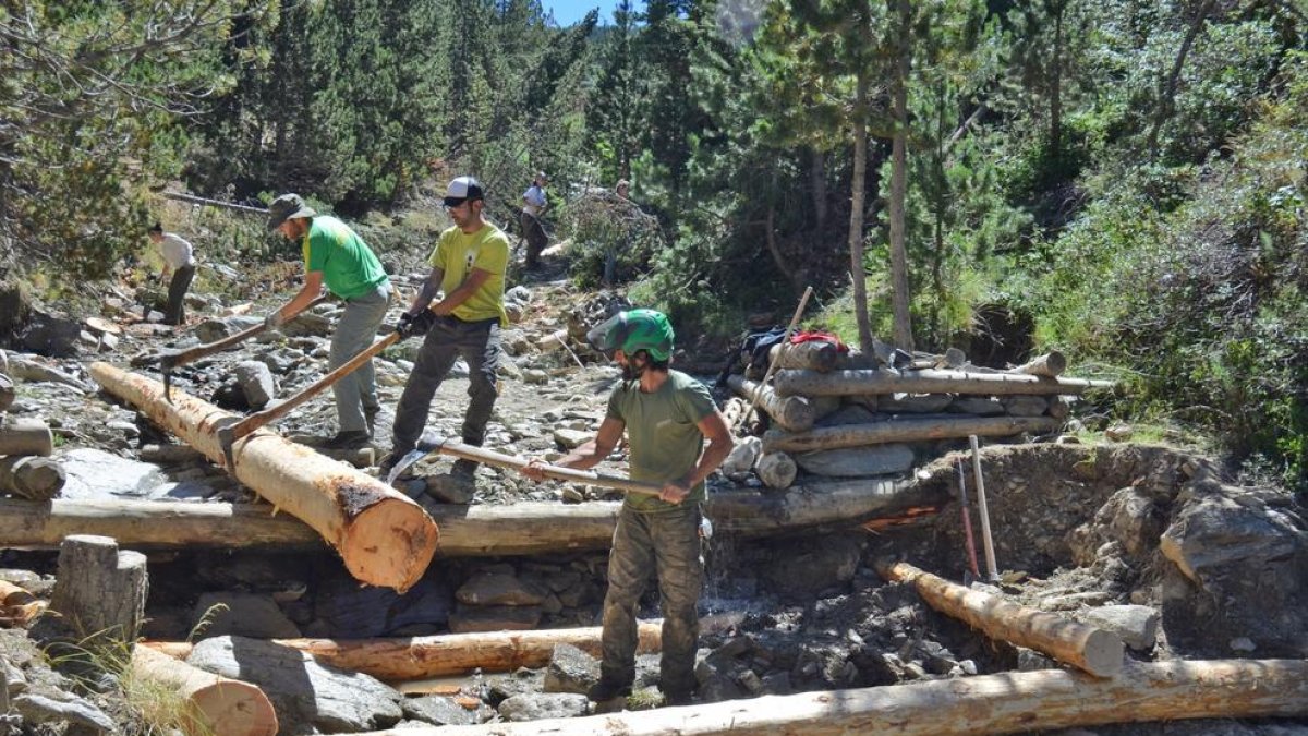 Imagen de voluntarios del proyecto Bosques de Montaña trabajando en el bosque en una edición del 2016.