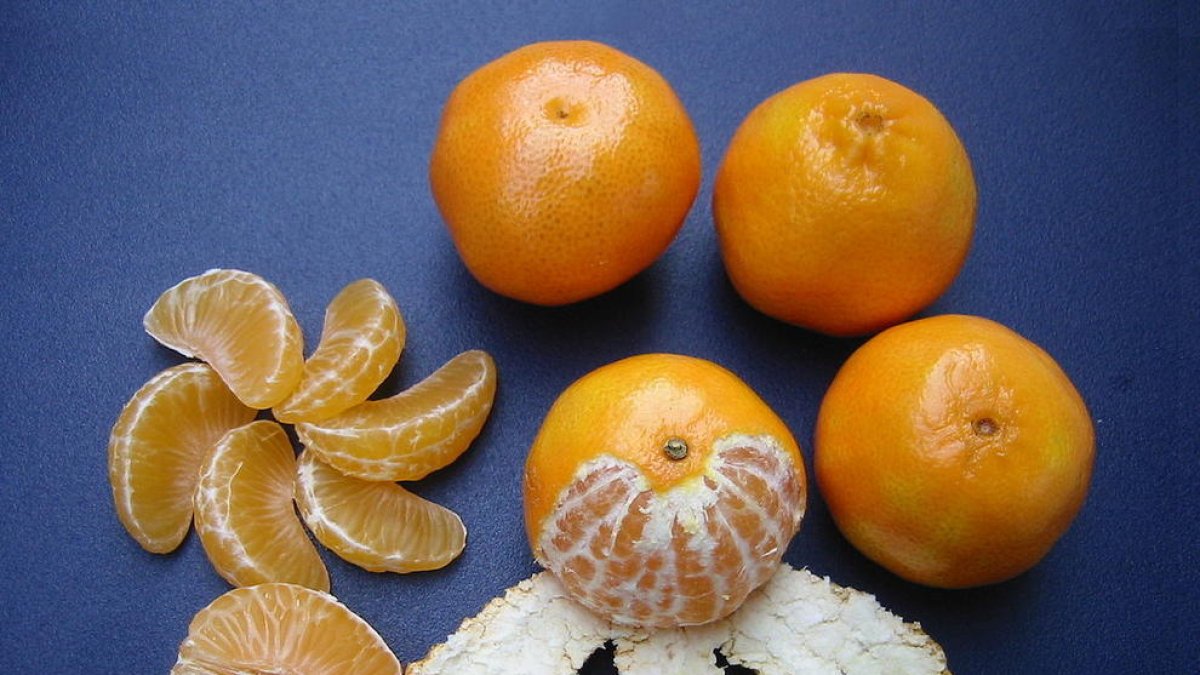 Cinc cooperatives i divuit productors han donat inici a una nova etapa del segell IGP Clementines Terres de l'Ebre, un distintiu de qualitat que tenen adjudicat des de 2001.