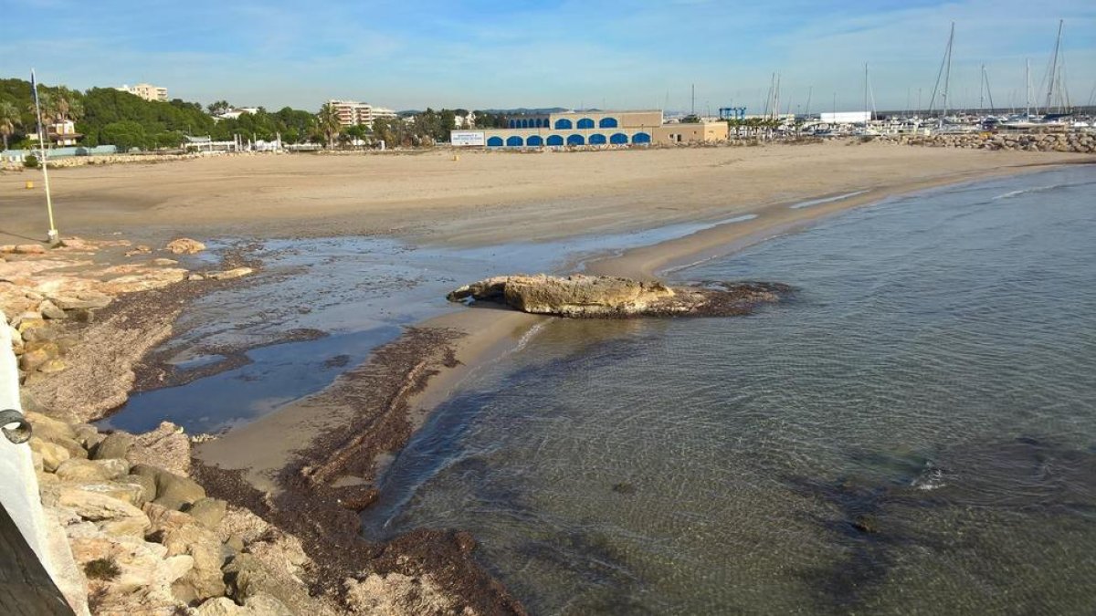 La platja de la Pelliseta bruta en un dels darrers episodis, al desembre, que es va repetir fa uns dies.