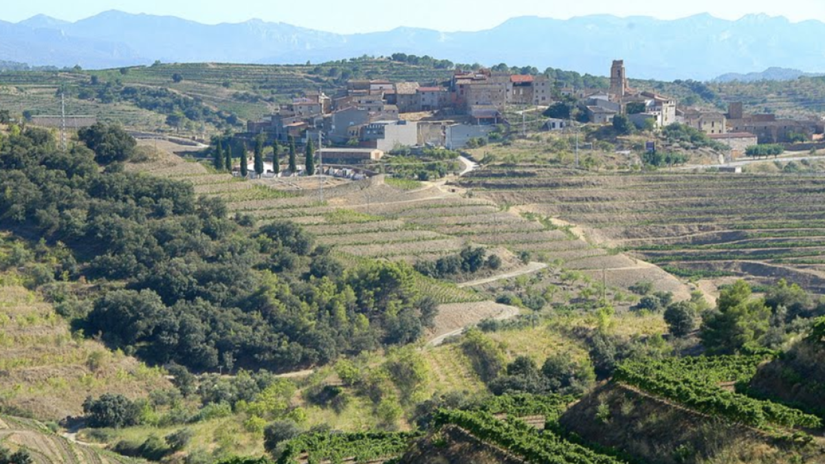 L'accident s'ha produït en un camí rural de Gratallops.