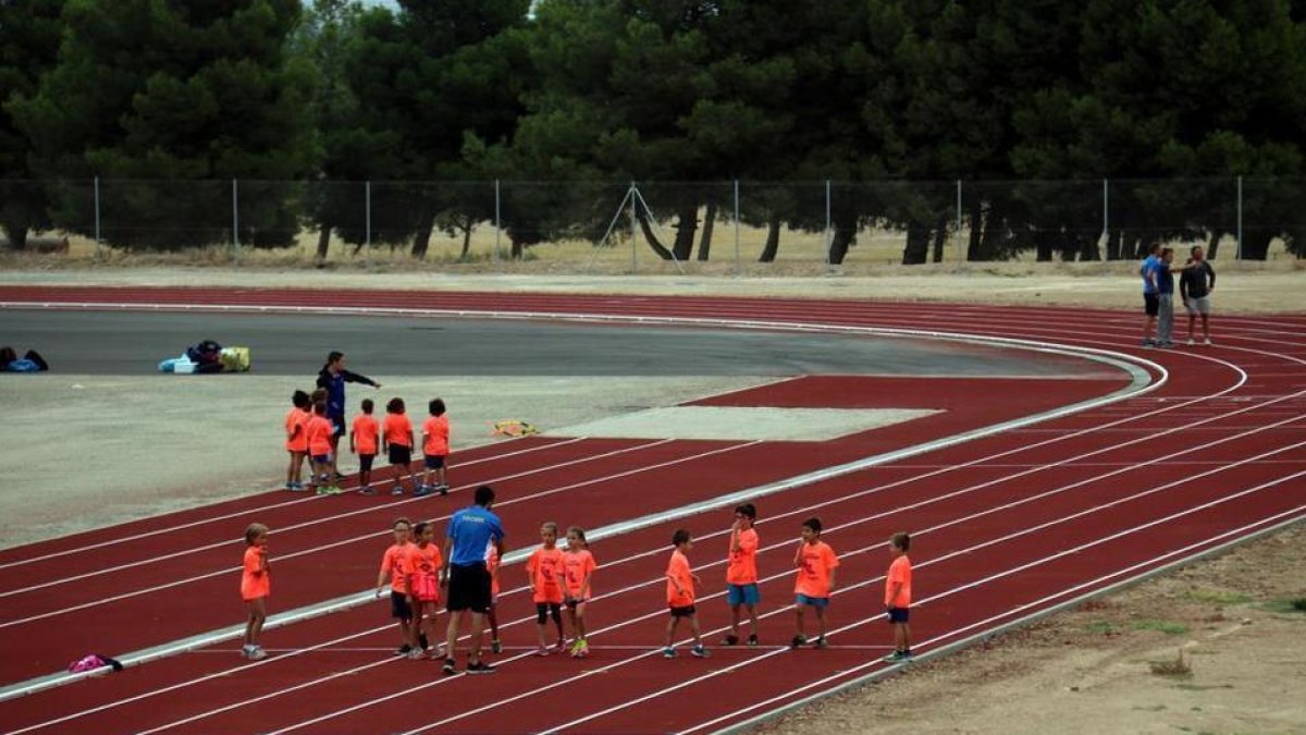 El consistori diu que s'ha ofert la possibilitat d'utilitzar les pistes del Reus Ploms gratuïtament.