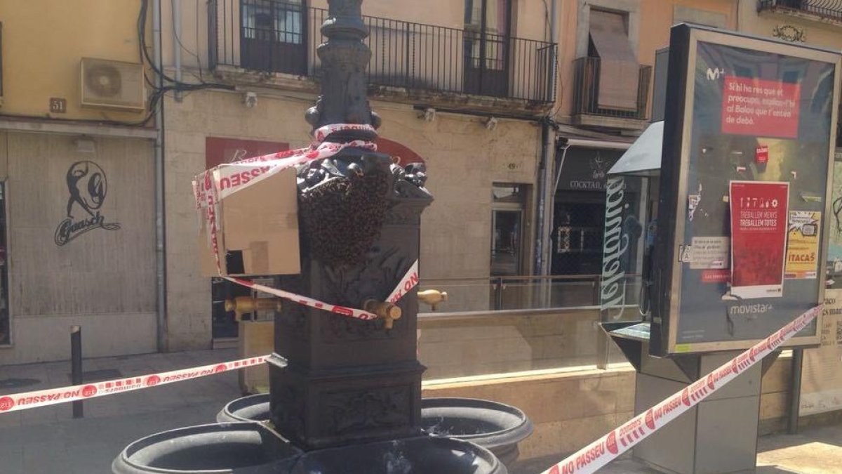 Los Bombers han colocado una caja para que las abejas vayan al interior y las puedan retirar.