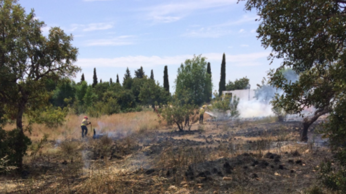 Els Bombers han tardat al voltant d'una hora en apagar el foc.