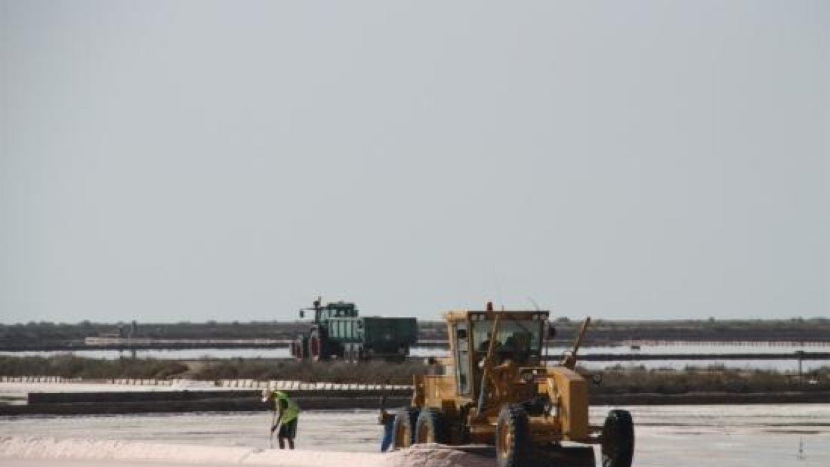 Un trabajador de Infosa trabajando, al lado de un tractor, en las Salinas de la Trinitat.