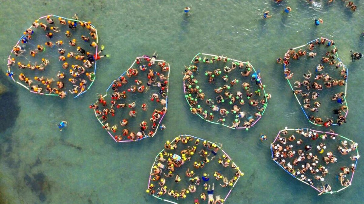 Pla aeri de l'activitat d'snorkel a la platja de Sant Jordi de l'Ametlla de Mar. Imatge del 30 de juliol del 2017