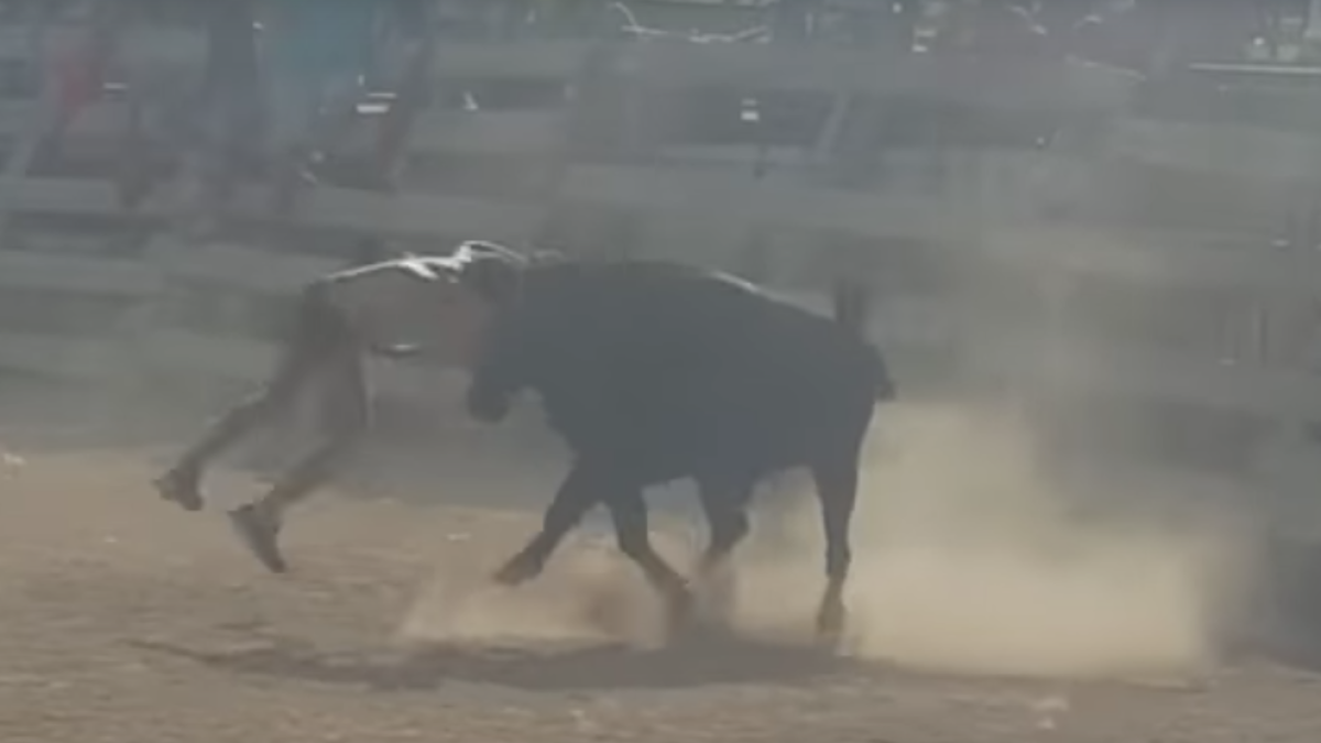 Una captura del vídeo que muestra la embestida al joven.