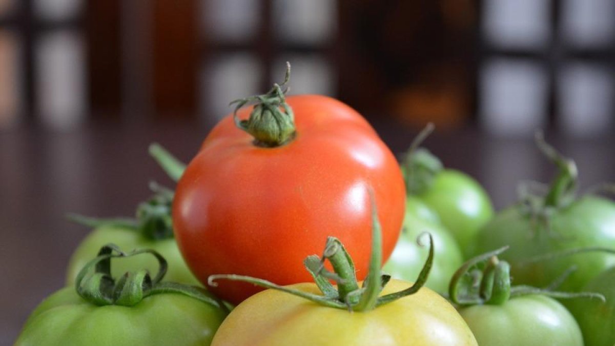 Los productos ecológicos son una de las prioridades del grupo.