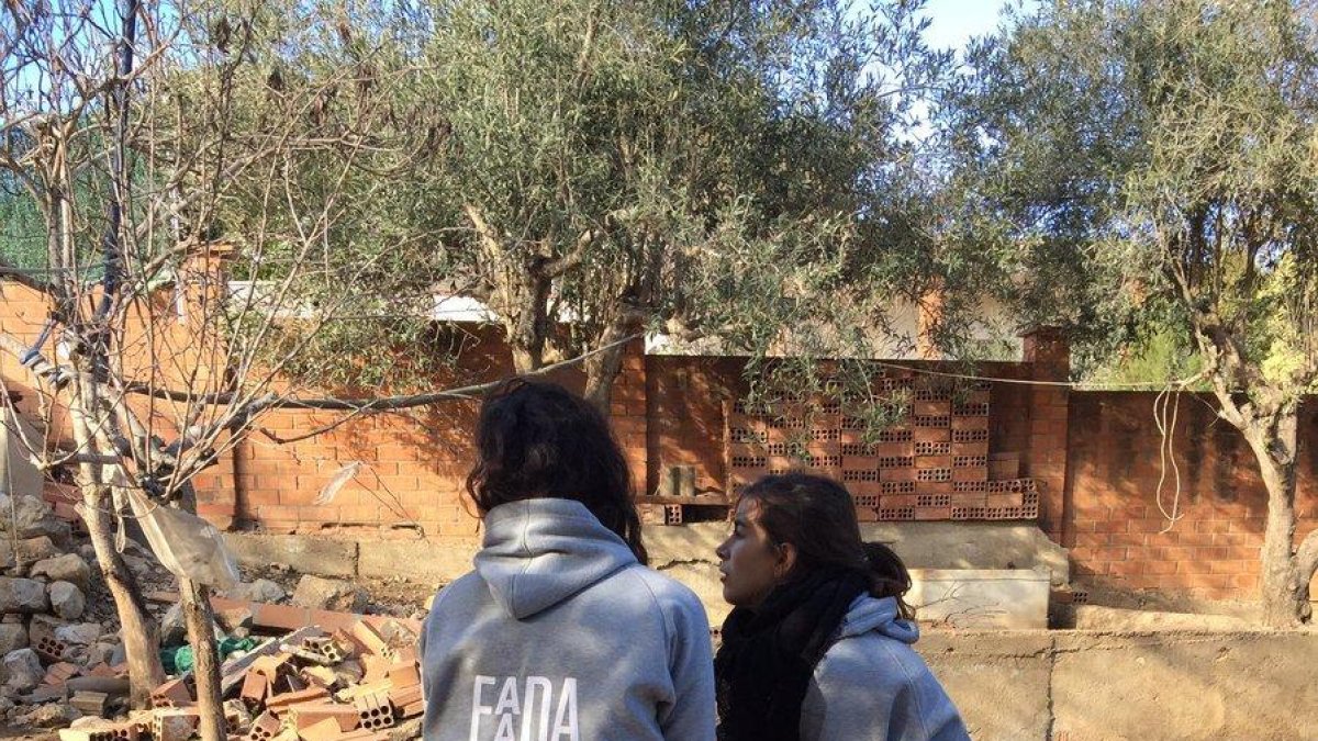 Técnicas de FADAA trabajando en la finca con los animales dormidos.