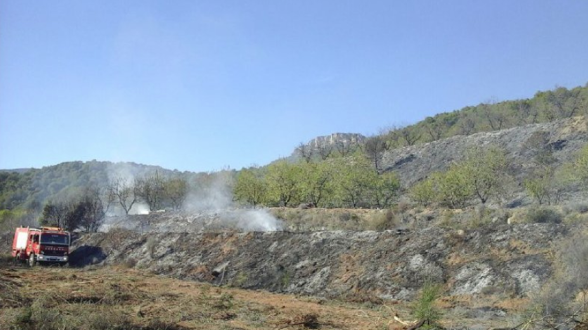 Imatges de les tasques d'extinció de l'incendi que ha cremat vegetació a Alforja.