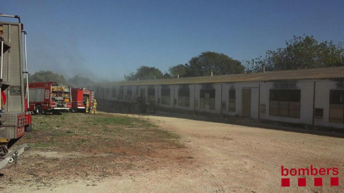 El incendio se produjo cuando no había animales dentro de la granja de pollos.