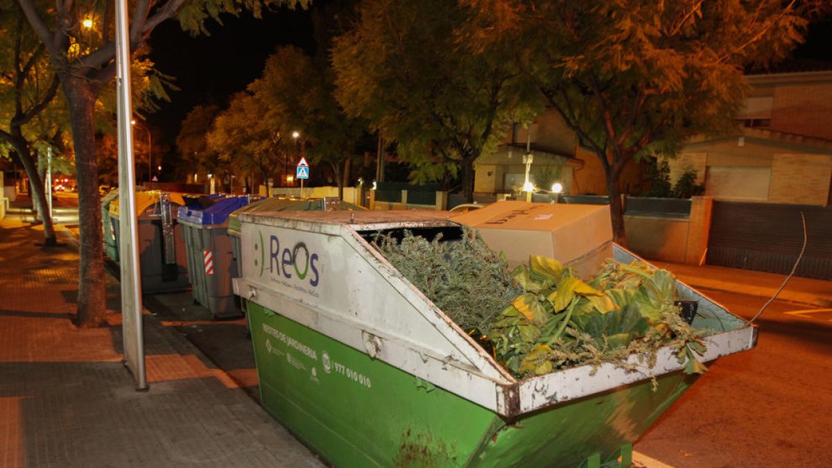 Una imatge d'un contenidor de recollida d'esporga, localitzat al carrer Astorga.