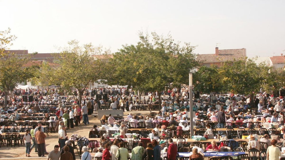 Imatge de la 18a Diada de la Puntaire celebrada a l'Arboç l'any 2005.