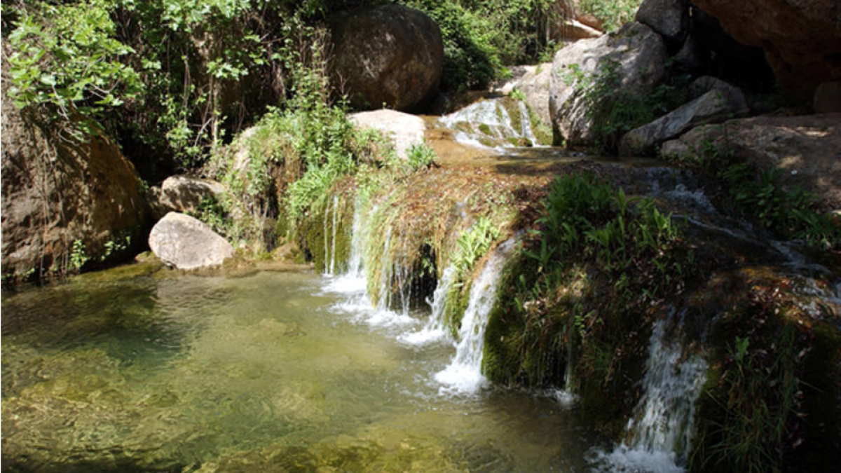 Imatge de la Vall del riu Glorieta d'Alcover.