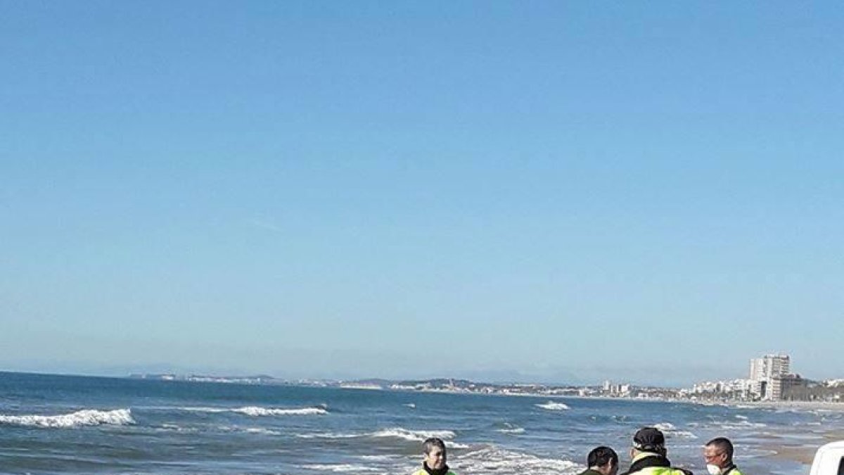 La policia local moment abans de treure el dofí mort de la platja