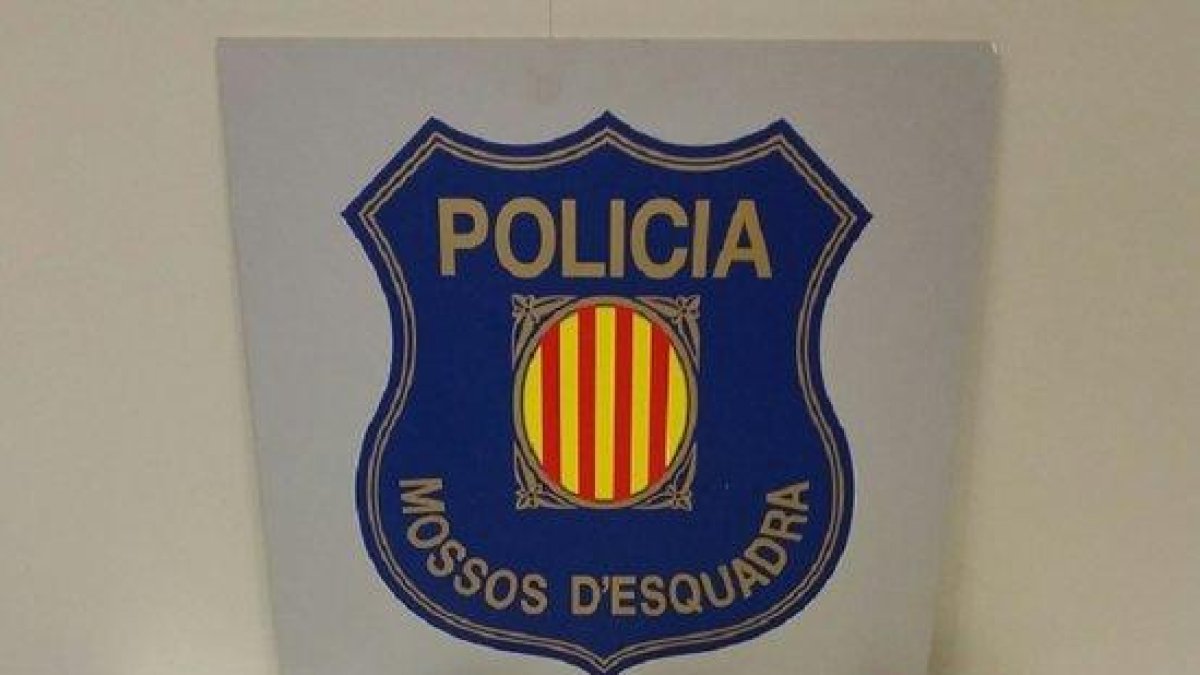 Imatge del material decomissat pels Mossos d'Esquadra.