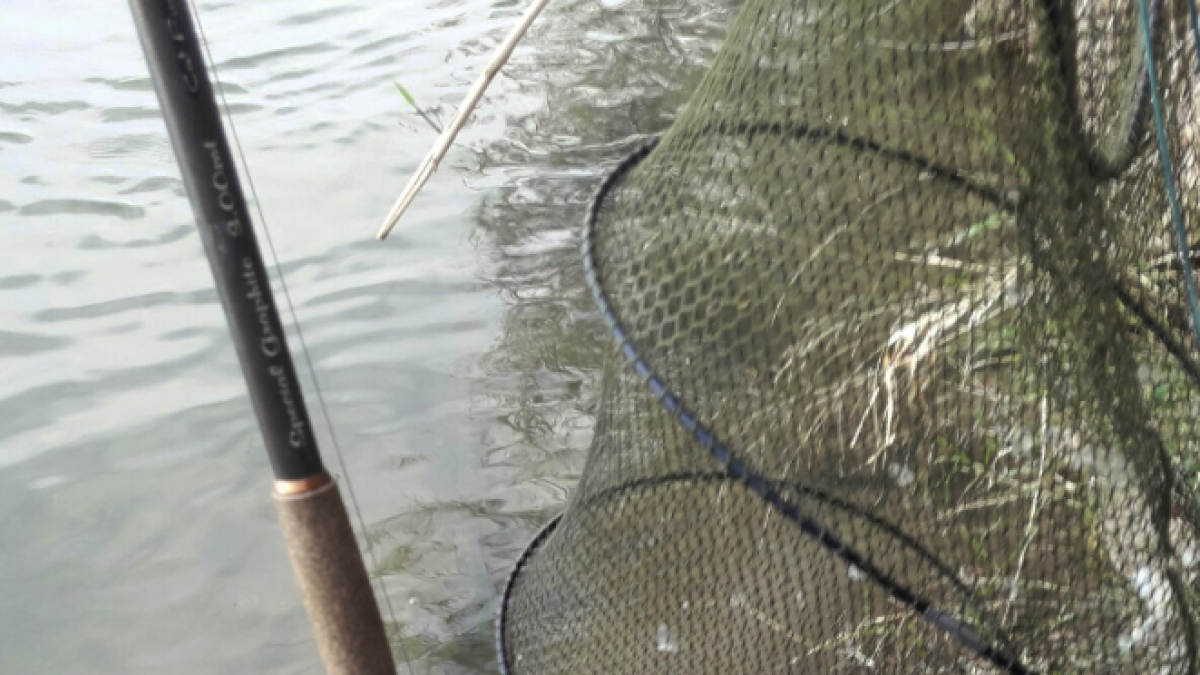 El cos va denunciar quatre pescadors per diferents infraccions, com mantenir els peixos capturats en una xarxa un cop pescats.