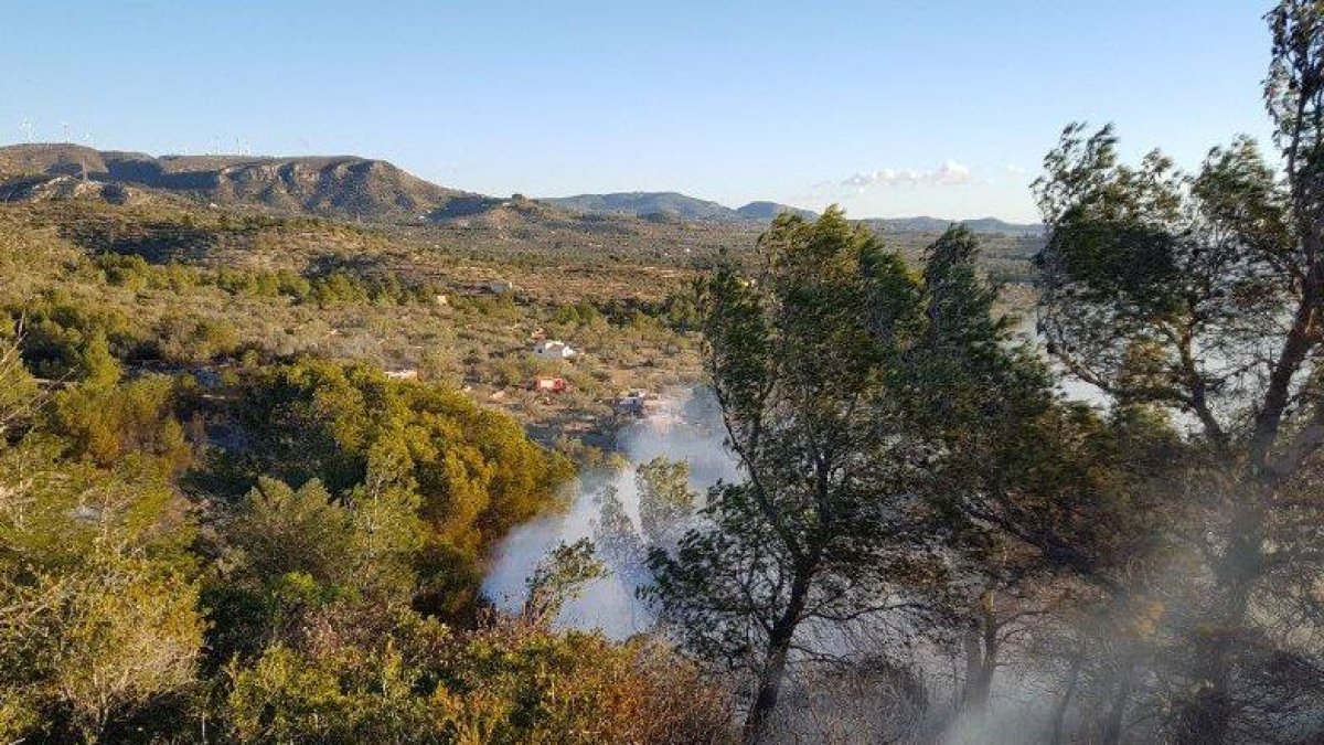El fuego quema masa forestal y un campo de olivos en la zona de las Barraques.