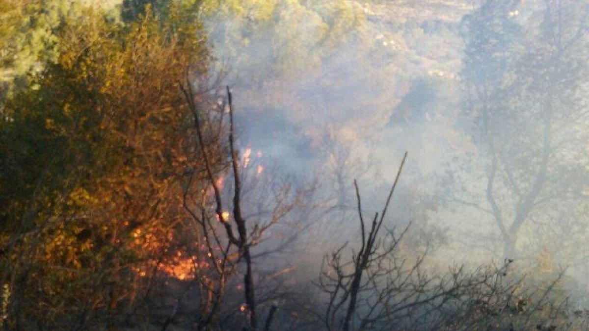 El foc ha afectat més de dues hectàrees de massa forestal i camps d'oliveres abandonats.