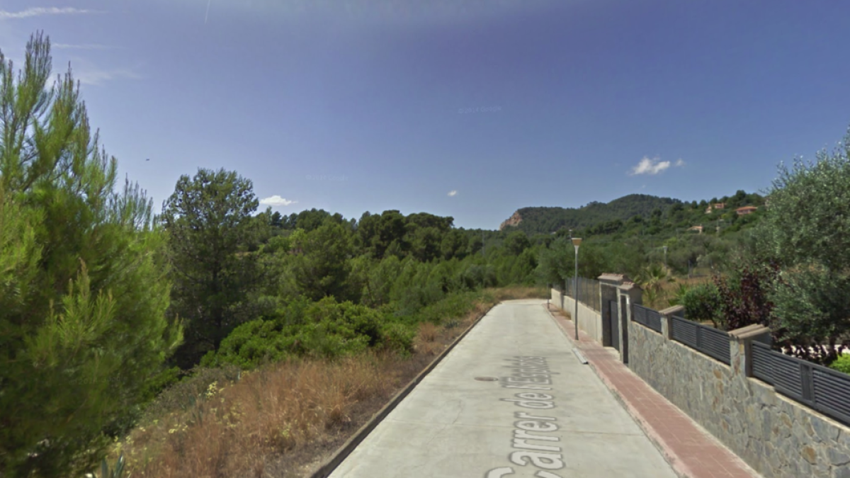 El fuego se ha originado en el barranco de vegetación situado delante de la calle del Espinós.