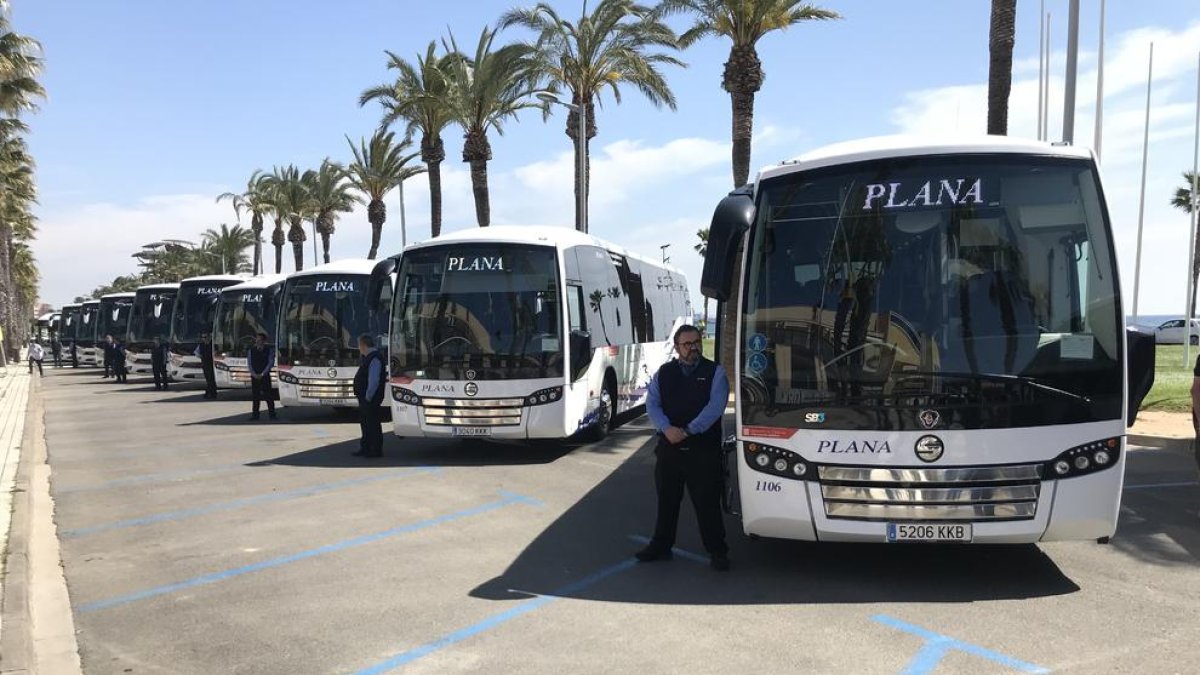 La flota de autobuses luce en el paseo a Pau Casals de la Pineda