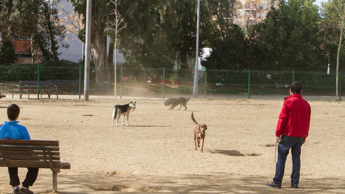 Imagen de archivo de varios usuarios del parque para perros instalado en la plaza del Velòdrom.