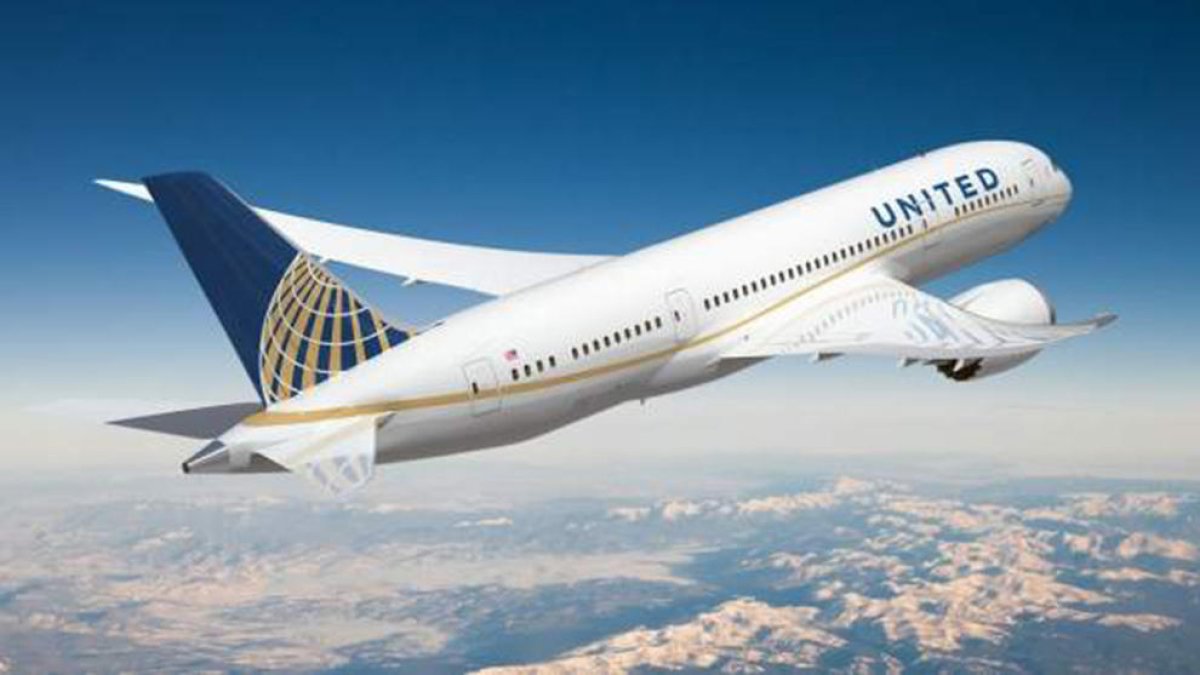 Imatge d'un avió d'United Airlines.