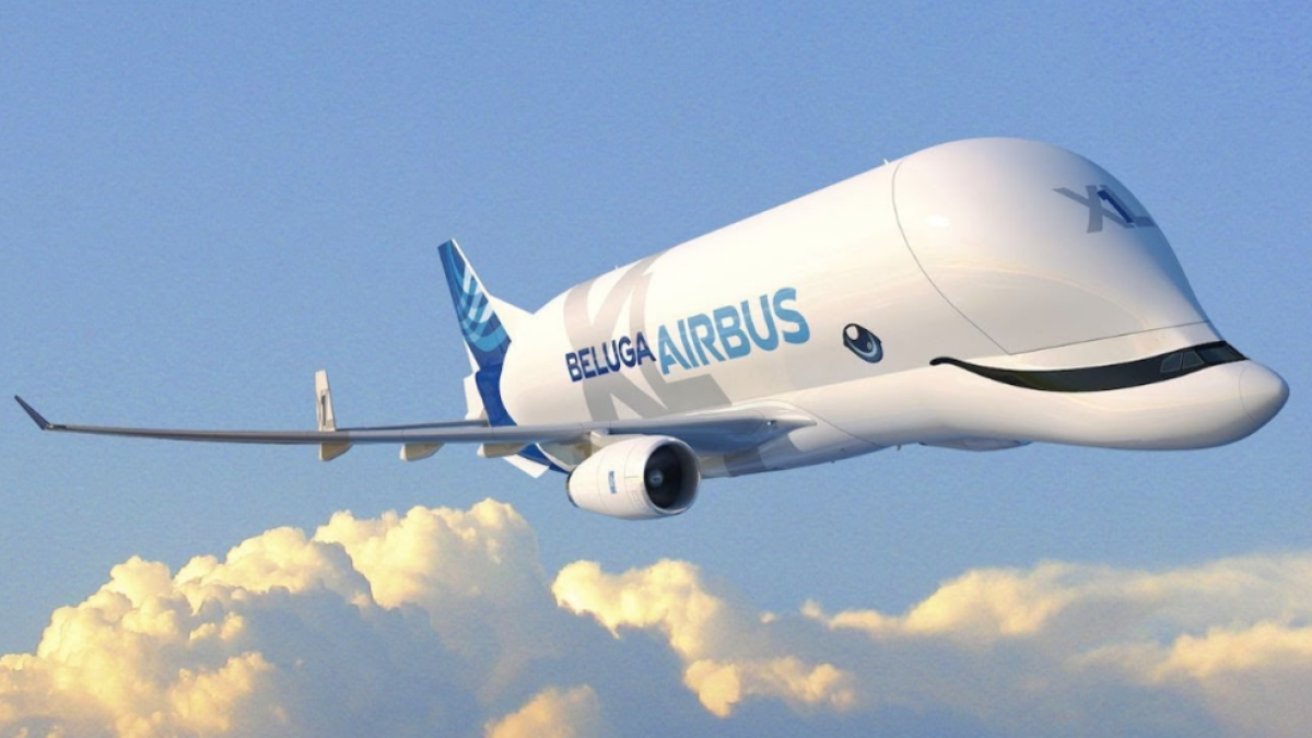 Imatge de l'aspecte del Beluga XL.