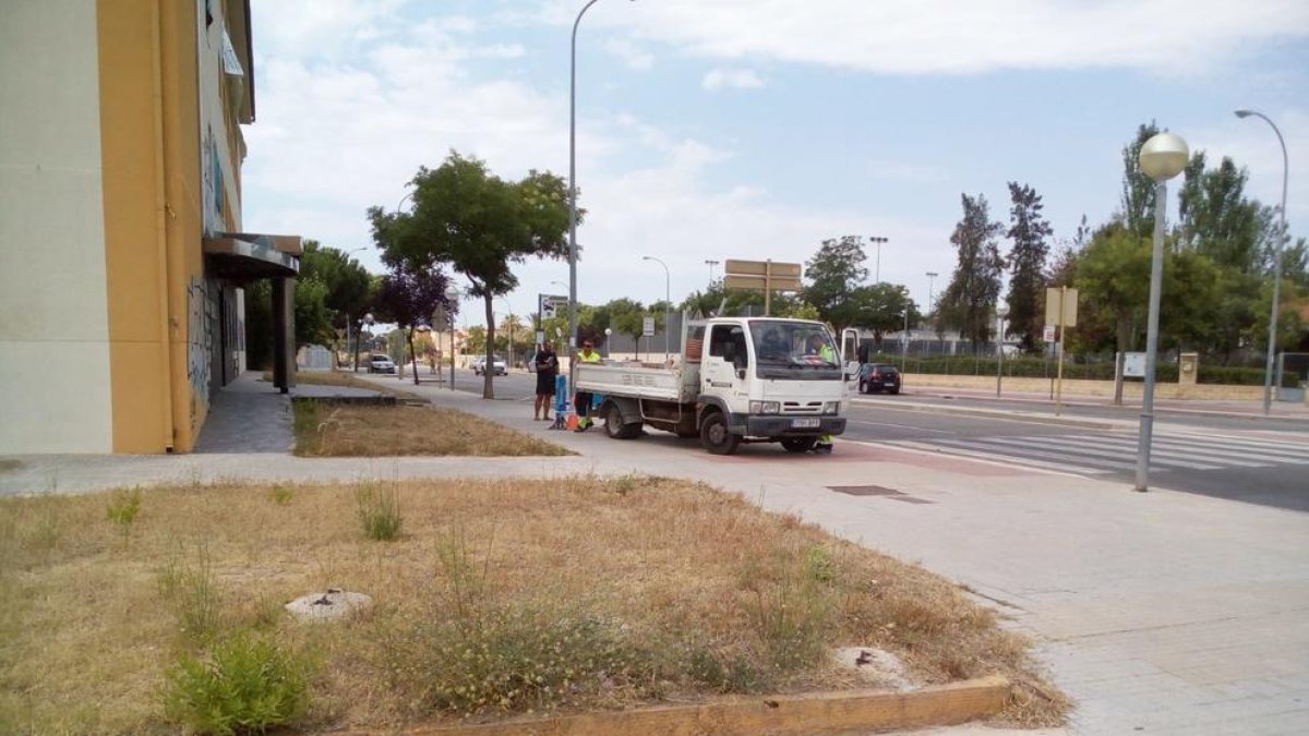 Els operaris de Comaigua treballant aquest matí, amb un dels ocupes enregistrant-los.