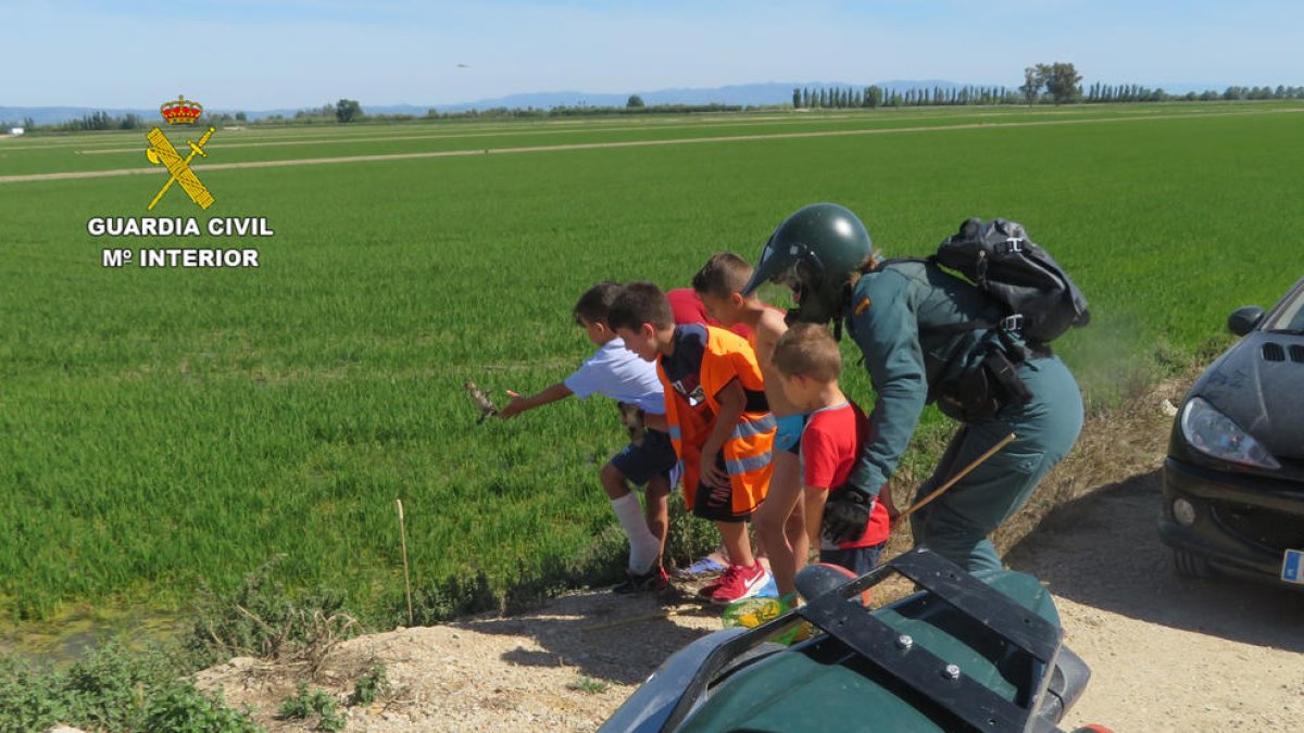 Los rescates se hicieron con la colaboración de varios niños y la Sociedad de Cazadores de Sant Jaume d'Enveja.