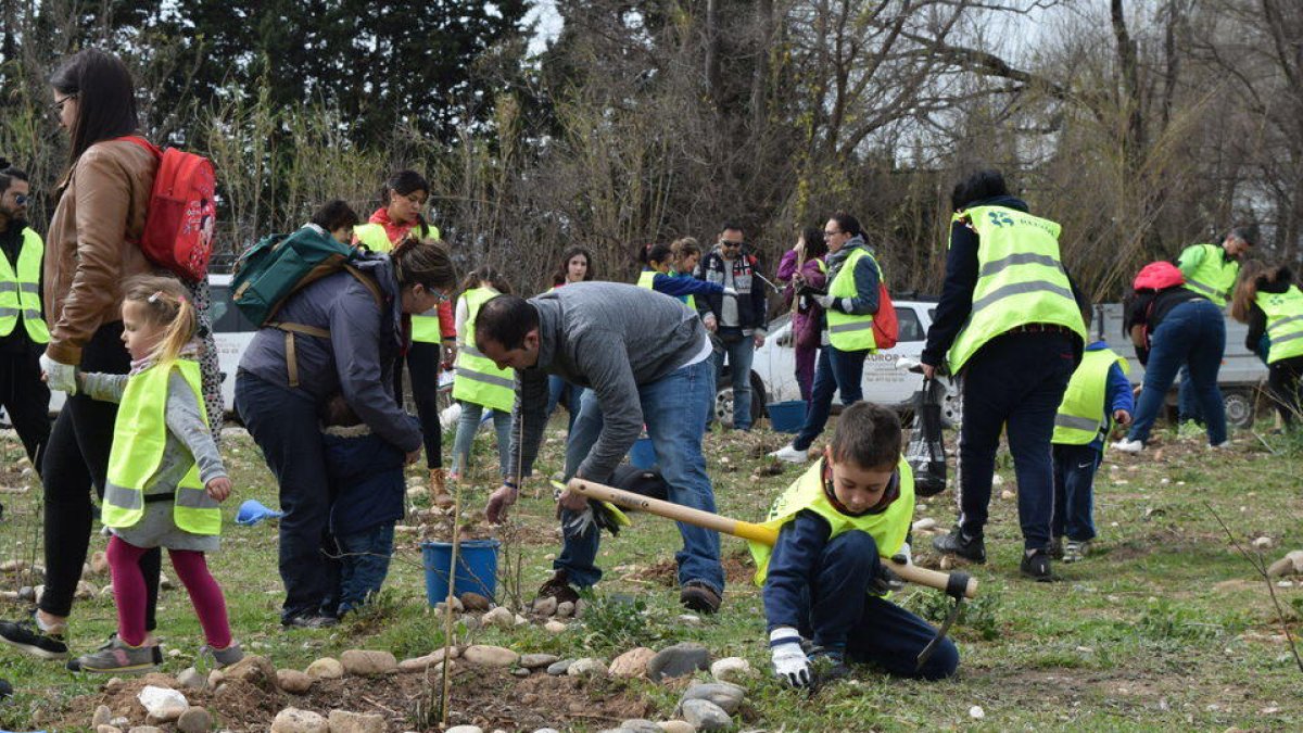 Un dels molts nens que han participat en la setena edició de la Plantada Popular