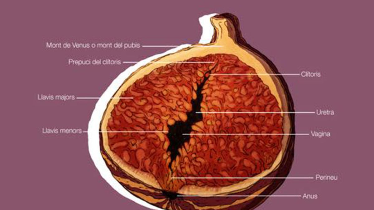 Imagen que ilustra el cartel de la jornada organizada por el Empelt.