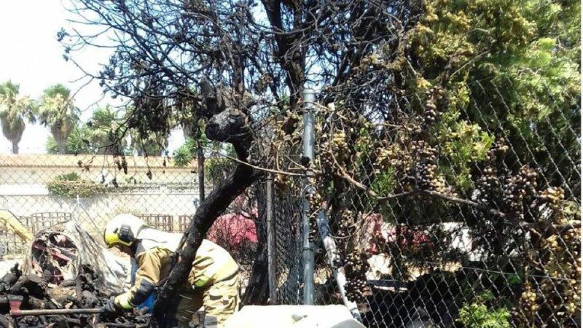 Imagen de la basura y de los troncos que han quemado en el incendio en Deltebre.