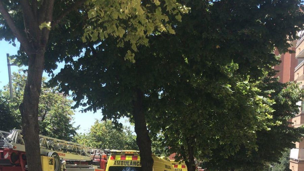 Los Bomberos y el SEM se han desplazado hasta el lugar.