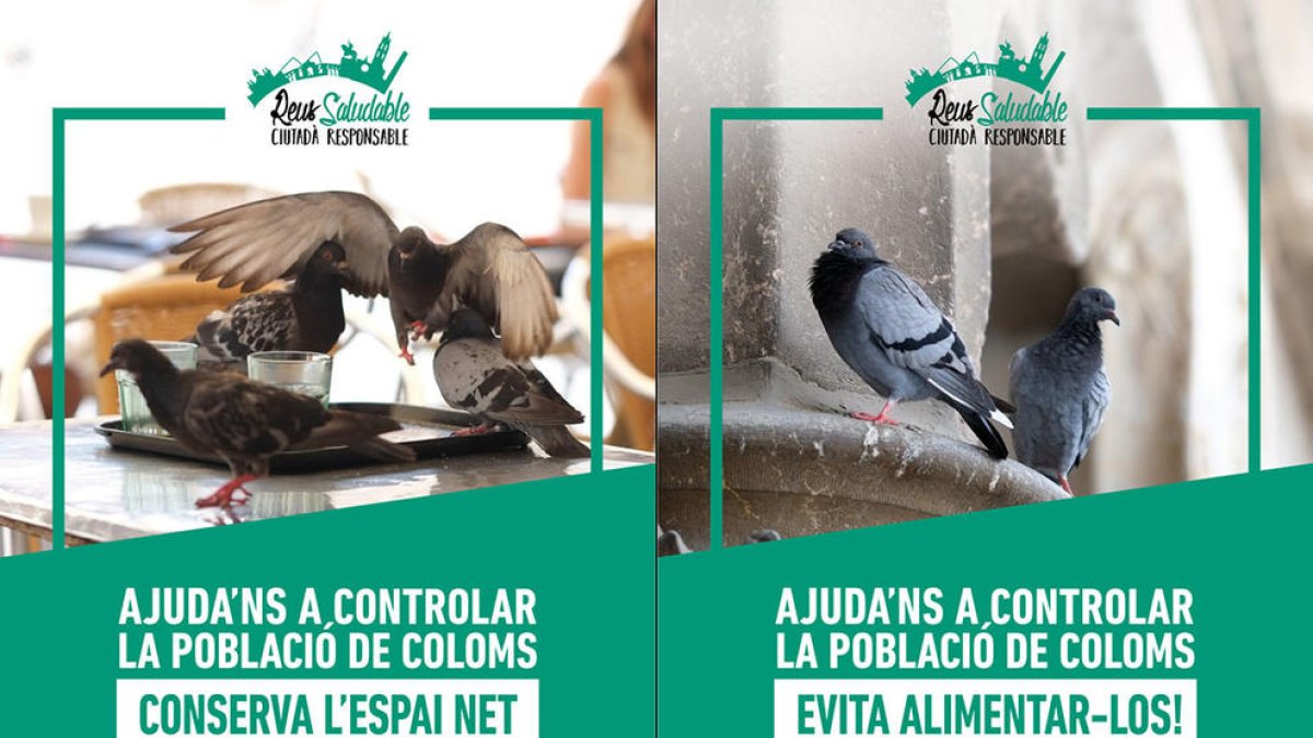 Carteles de la campaña para reducir el número de palomas a Reus.